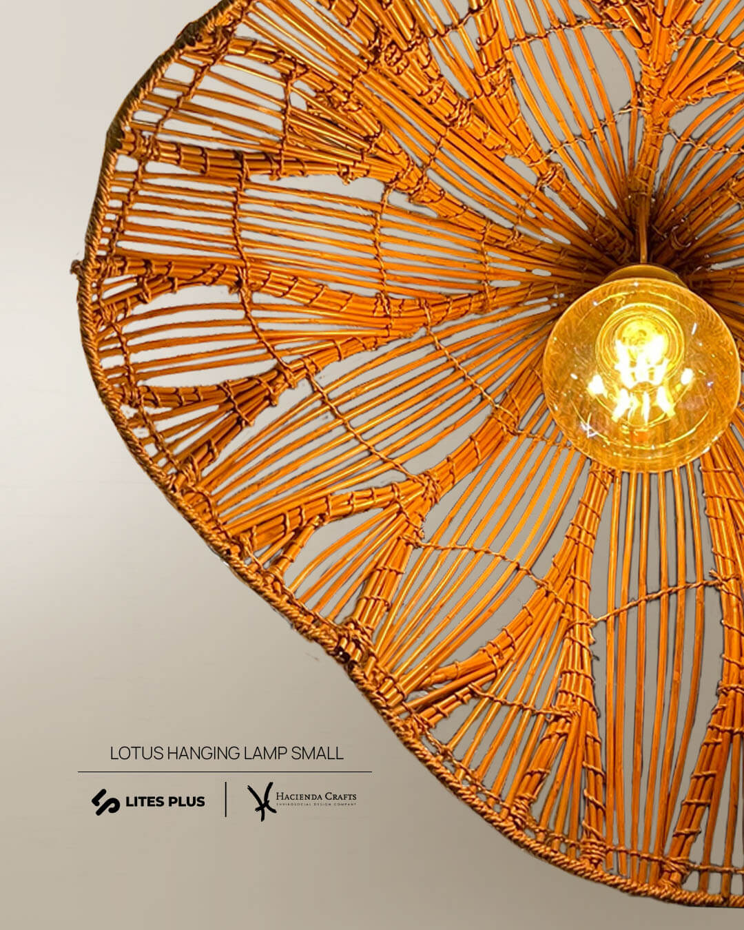 Lotus Hanging Lamp by Lites Plus
