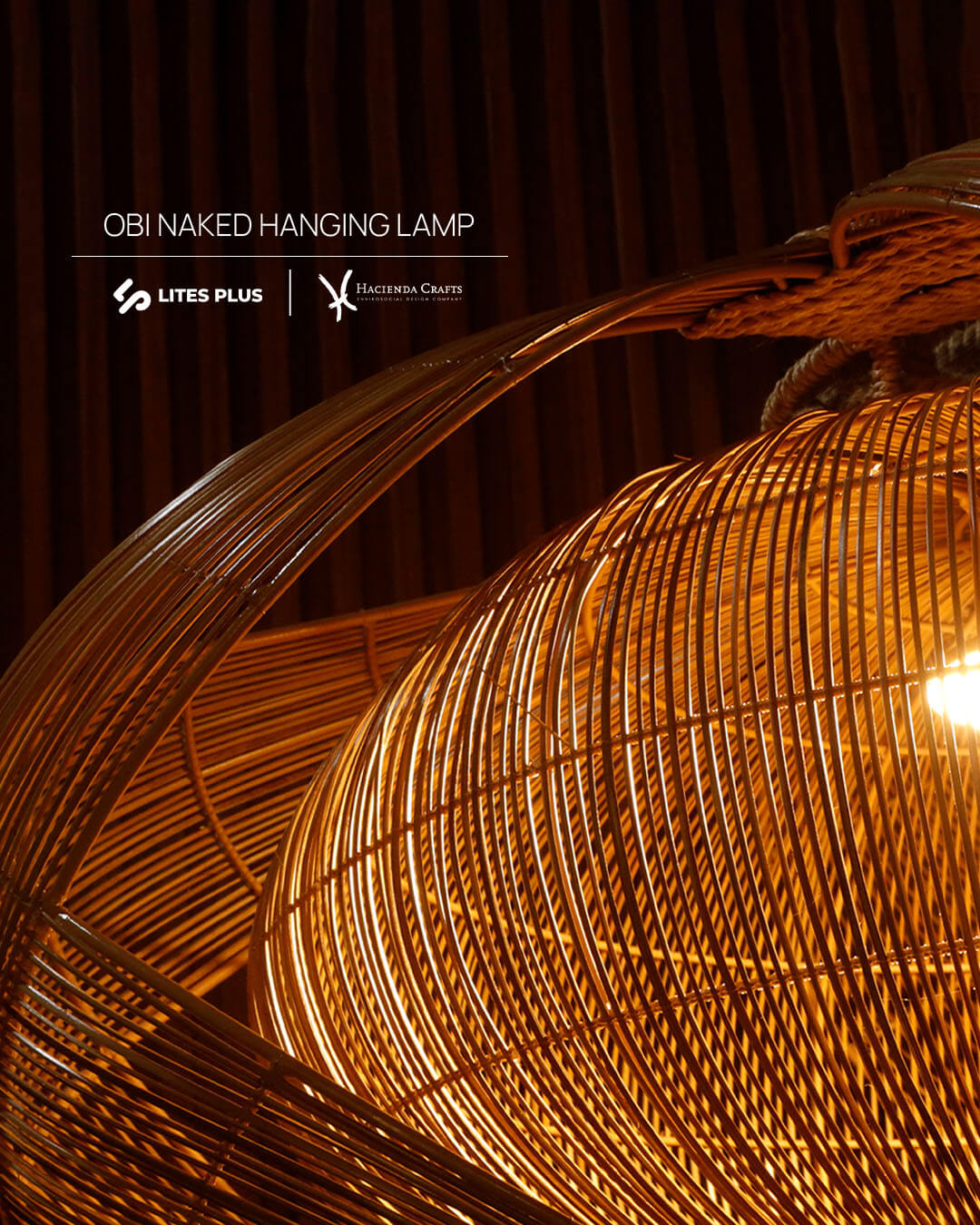 Obi Hanging Lamp by Lites Plus